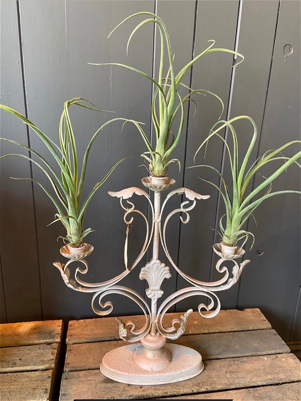 Vintage Candelabra Homeware Flower Garden