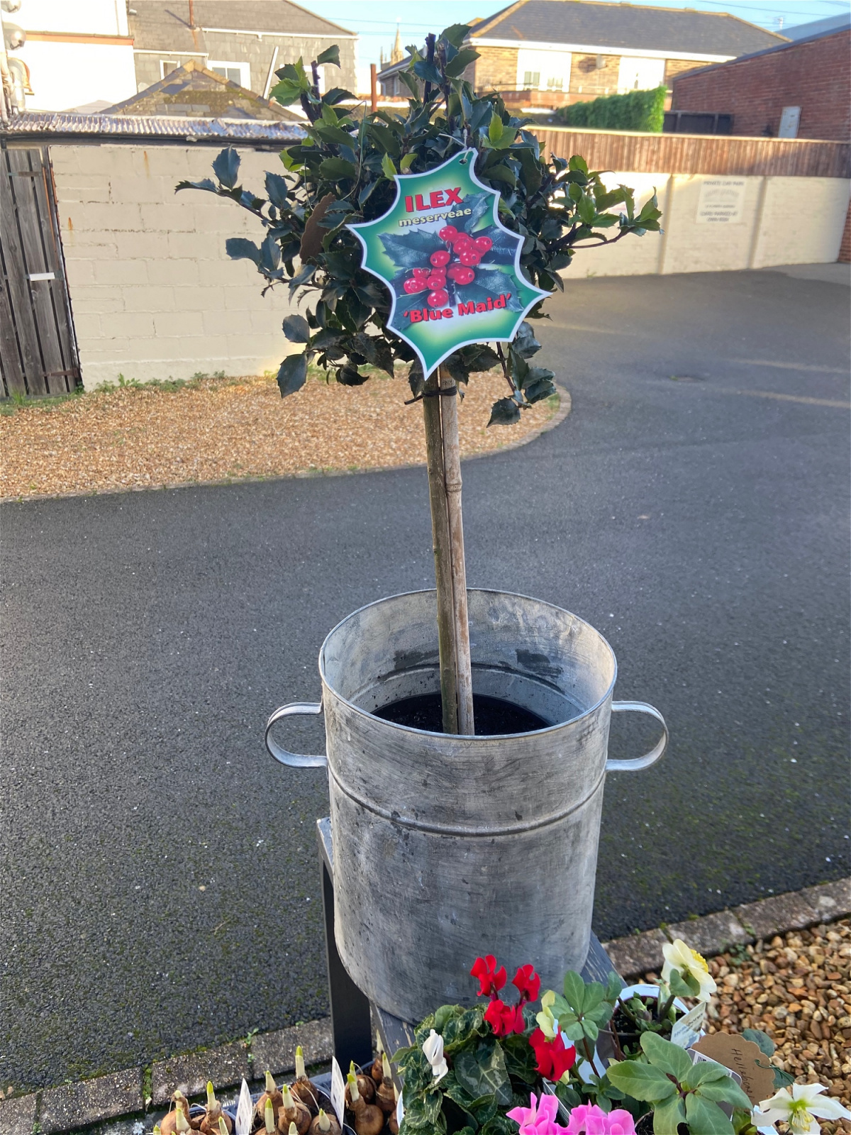 Flower Delivery for Isle of Wight Flower Garden Flower Garden