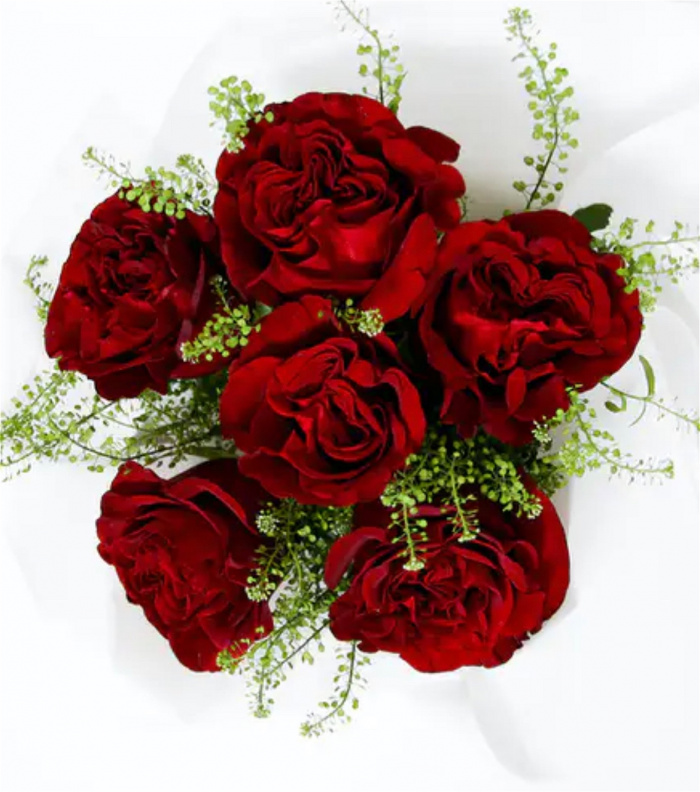 Moss and Maple Flowers A Florist in Manchester, Stockport