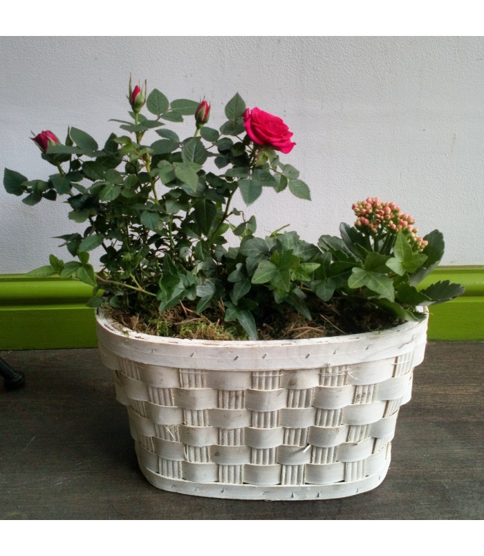 Moss and Maple Flowers A Florist in Manchester, Stockport