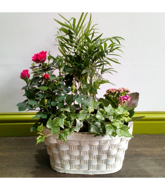 Moss and Maple Flowers A Florist in Manchester, Stockport