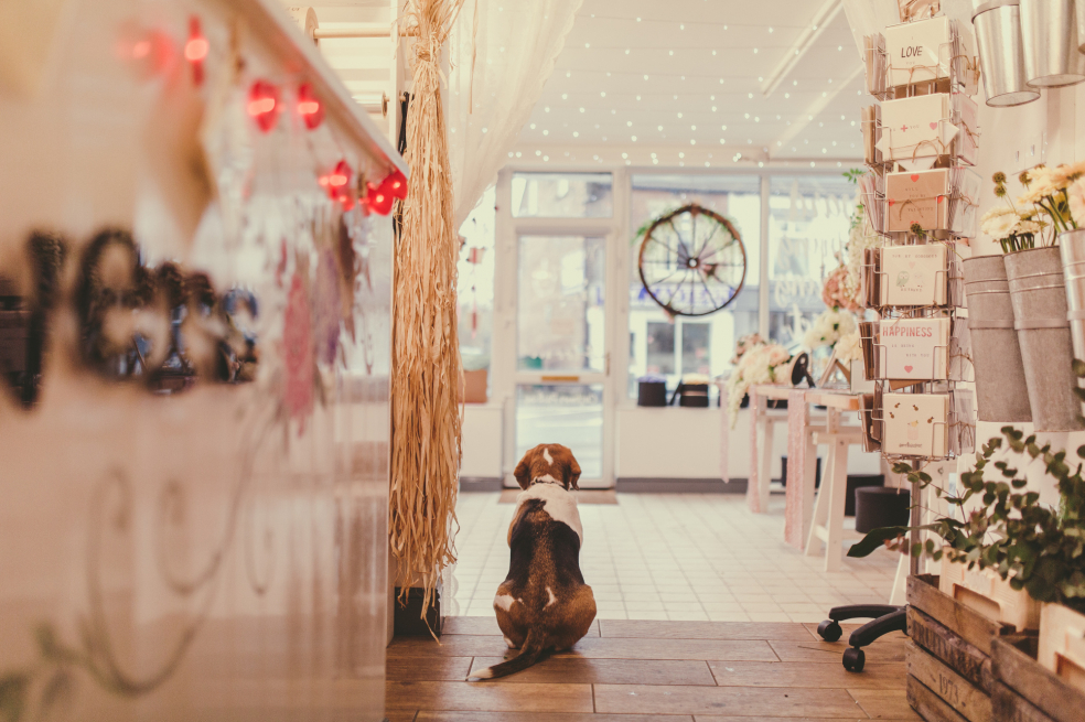 A Florist in Chesterfield JJ's Flowers SameDay Flower Delivery