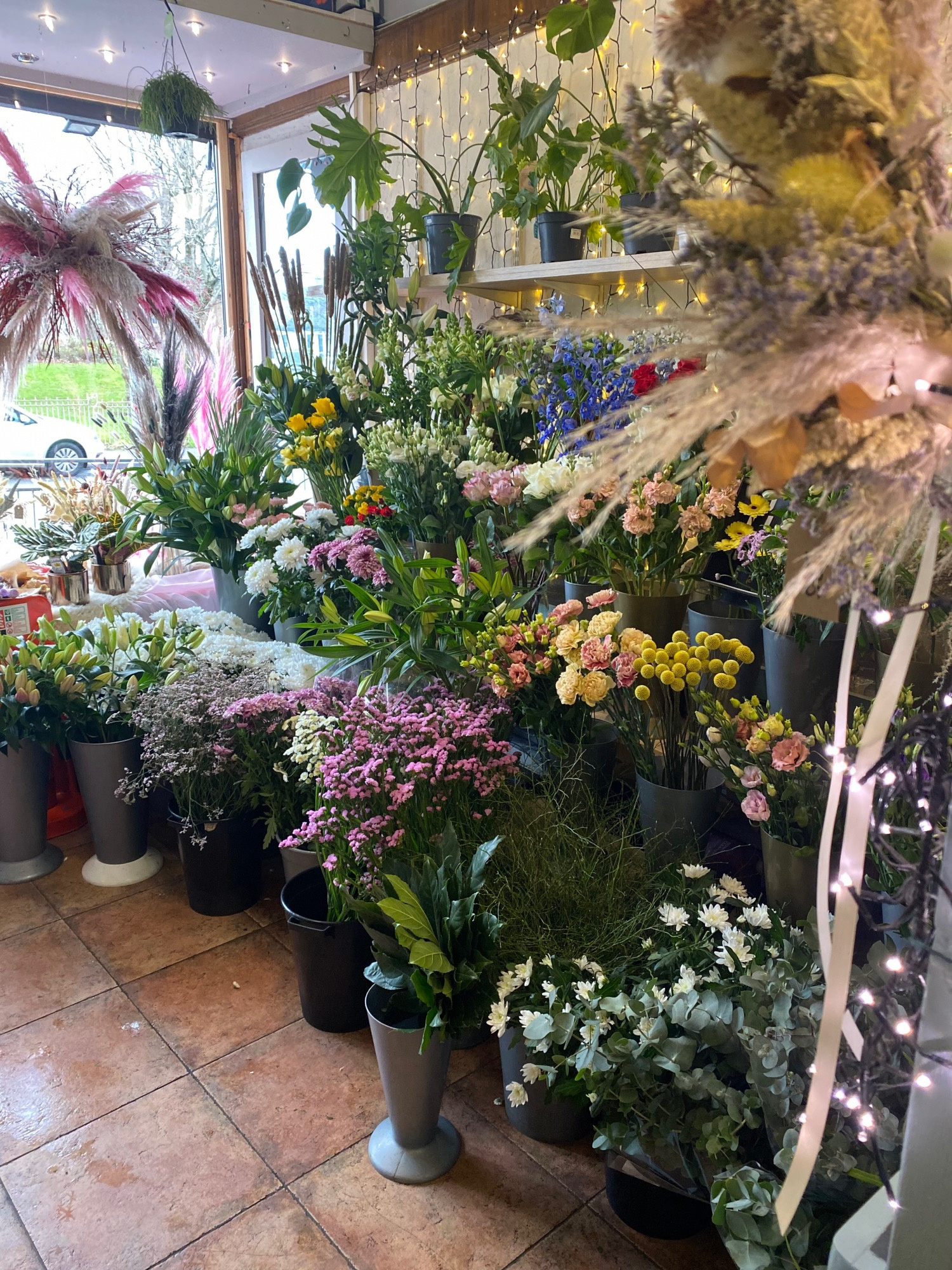 Contact Wildthings Florist Glasgow