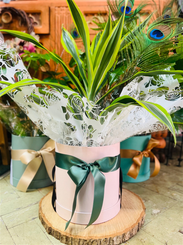 A Florist in Portsmouth Blooms n Balloons Same Day Flower delivery